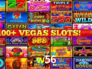 w56 Salvador - Bonus Stats